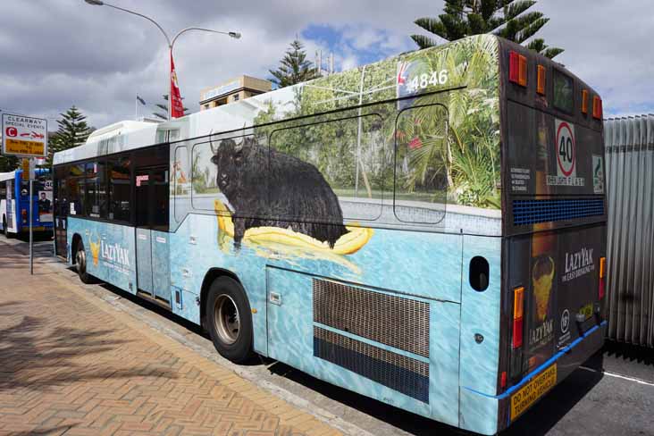 Sydney Buses Volvo B12BLE Custom CB60 Evo II 4846